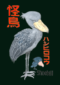 Monstrous bird whale-headed stork