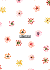 AHNs new FLOWERS 001
