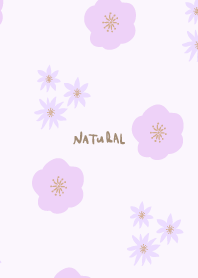 flowers early autumn9  from Japan