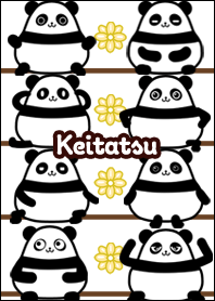 けいたつ★まんまるカワイイ♥パンダ
