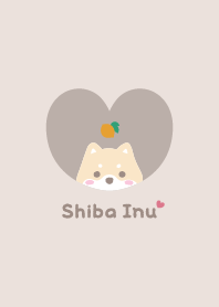 Shiba Inu2 Lemon - beige