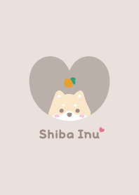 Shiba Inu2 Lemon / beige