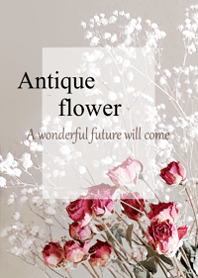World of Antique dried flower.6