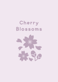 Cherry Blossoms18<PurplePink>