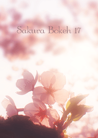 SakuraBokeh 17