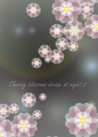 Cherry blossoms dream at night 2
