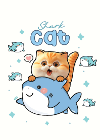 Cat Chubby Shark!