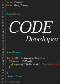 Code Developer