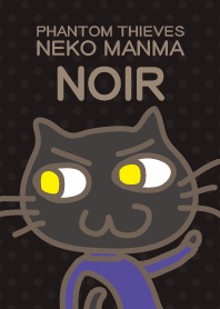 Black cat thief Noir