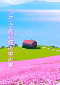 A field of pink flowers