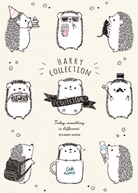 HARRY COLLECTION