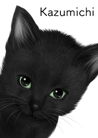 かずみち用可愛い黒猫子猫