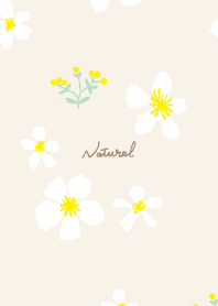 yellow and white flowers8 from Japan