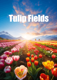 チューリップ畑 vol.2