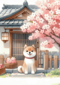 Shiba Inu and Cherry Blossom V.2