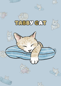 creamtabby2 / blue