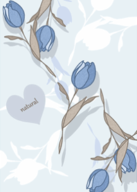 Tulips are studded2.