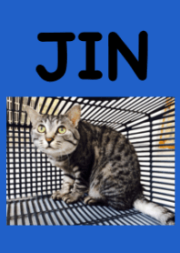 JINKUN
