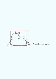 Cat wants attention -blue-