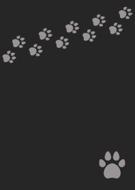 Wild footprints