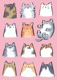 ねこもよう　フレッシュピンク