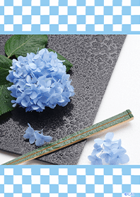Japanese pattern and hydrangea