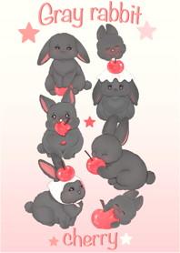 Gray rabbit & Cherry