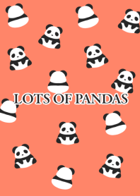 LOTS OF PANDAS/VERMILION