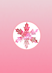 Snow Red @ Winter Feature