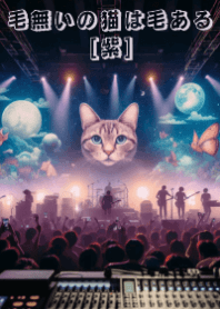 ニャーのライブ②_紫☆毛無いの猫は毛ある