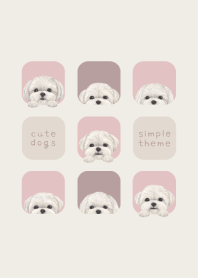 DOGS - Maltese Dog - PINK GRAY