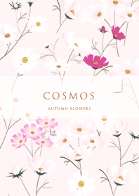 pink tylish cosmos 10_2