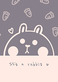 Bunny and Carrot J-Grey Magenta (Pi2)