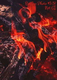Bonfire Photo #3-18 Not AI