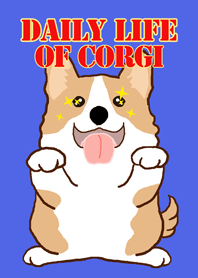 Daily life of Corgi Ver1