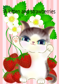 A kitten and strawberries.