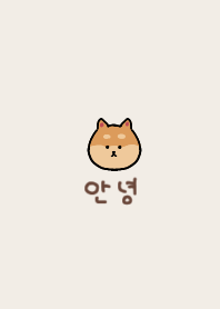 korea_shibainu(beigebrown)