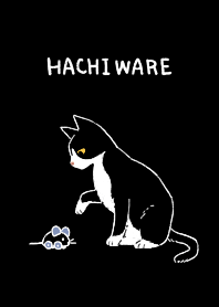 ハチワレの猫