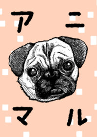 Animal001