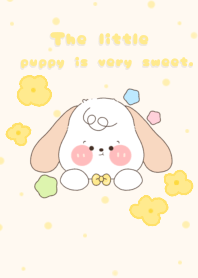 The little puppy is very sweet.2