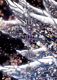 宇宙（ソラ）に咲く華-影