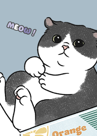 neko single20 / light steel blue