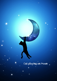 Cat playing on Moon