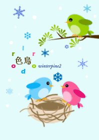 彩鳥-冬-松樹2