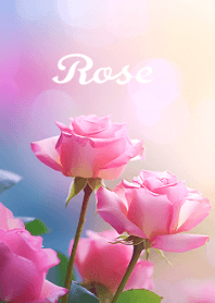 fall in love with roses