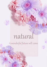 Happy gerbera flower18