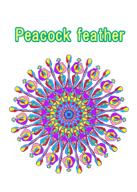 Peacock feather