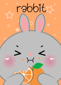 Rabbit Love Orange Theme