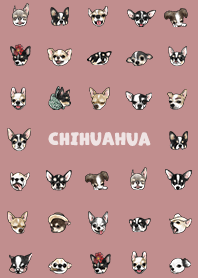 chihuahua2 - pale pink