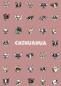 chihuahua2 / pale pink